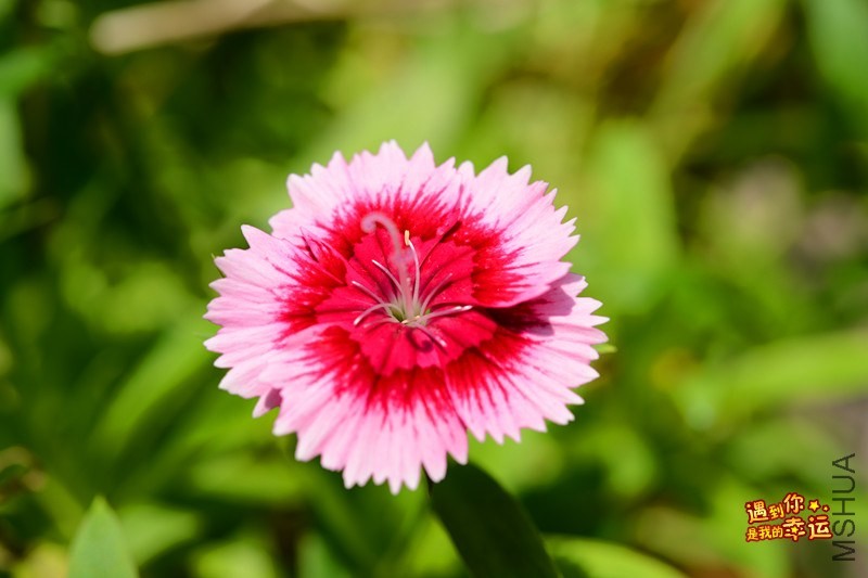 ��Ƭ 057_����.jpg