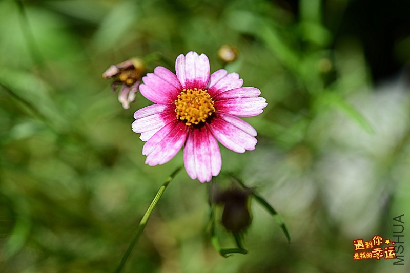 ��Ƭ 059_����.jpg