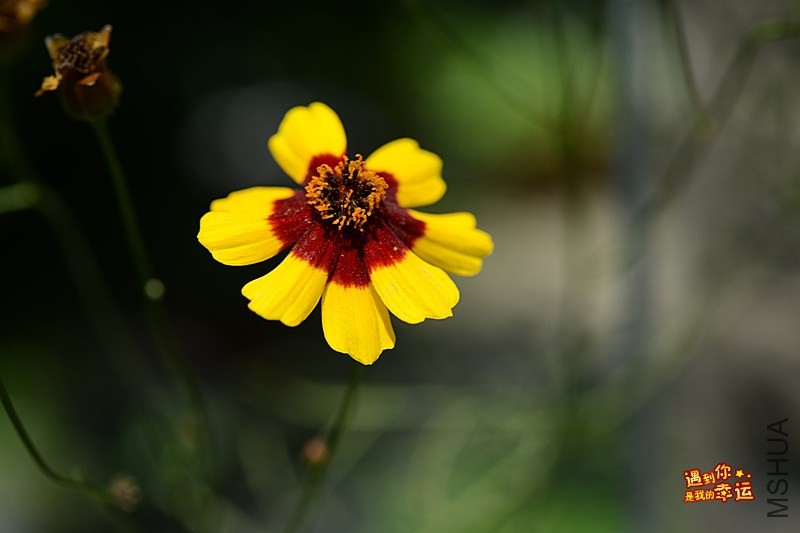 ��Ƭ 060_����.jpg