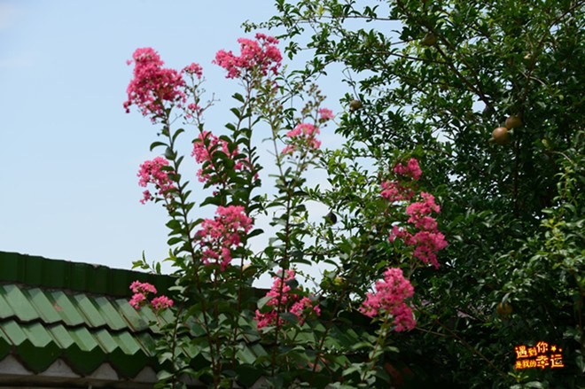 ��Ƭ 026_����.jpg