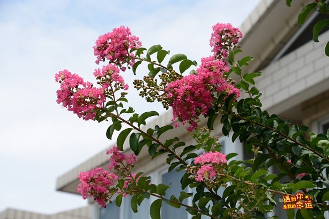 ��Ƭ 027_����.jpg