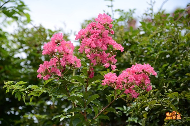 ��Ƭ 028_����.jpg