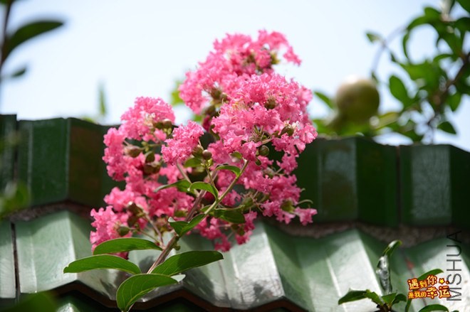 ��Ƭ 029_����.jpg