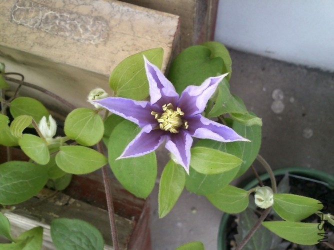 QQ��ͼ20130803213750.jpg