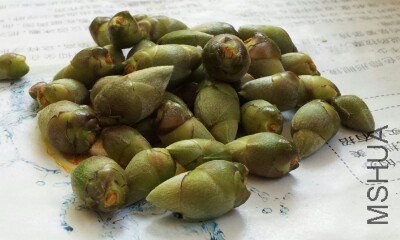 IMG20130804003353.jpg
