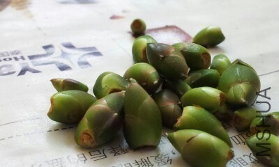 IMG20130804003409.jpg
