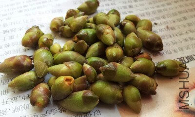 IMG20130804003428.jpg
