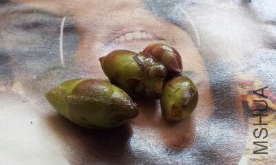 IMG20130804003450.jpg