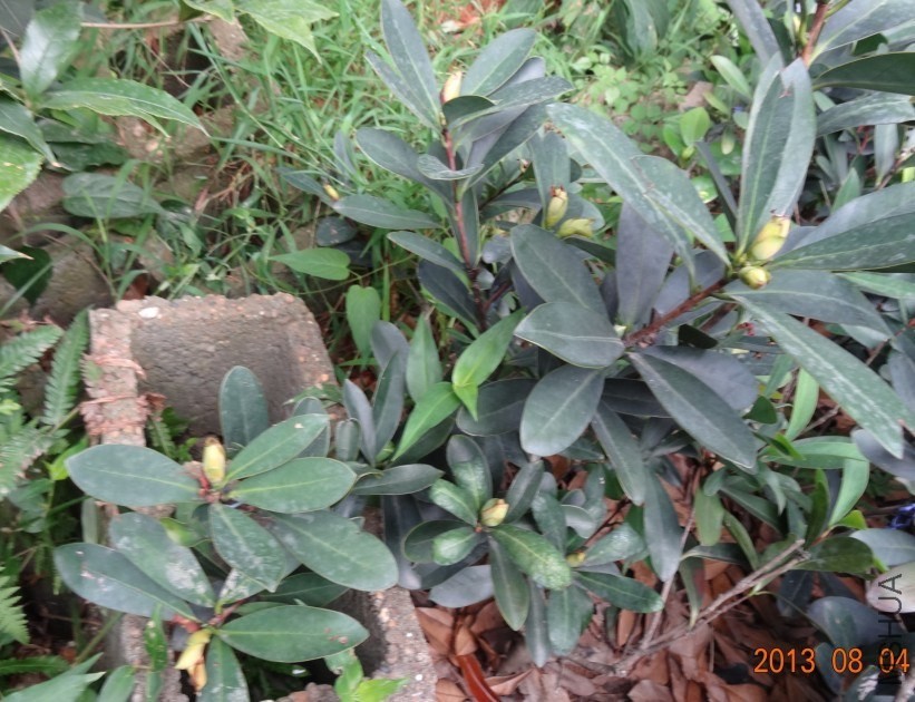 QQͼƬ20130804075829.jpg