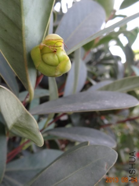 QQͼƬ20130804075847.jpg
