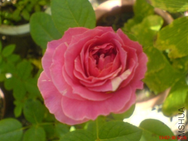 DSC00382.jpg