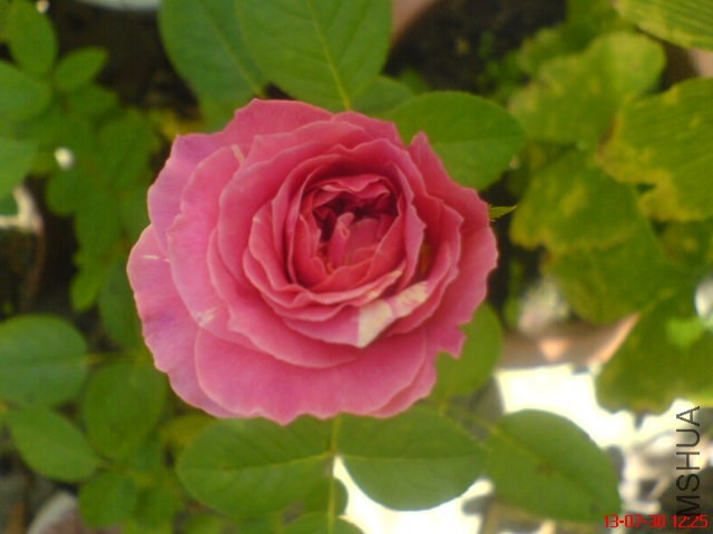DSC00379.jpg