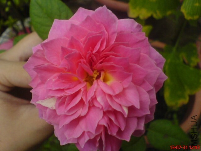 DSC00400.jpg