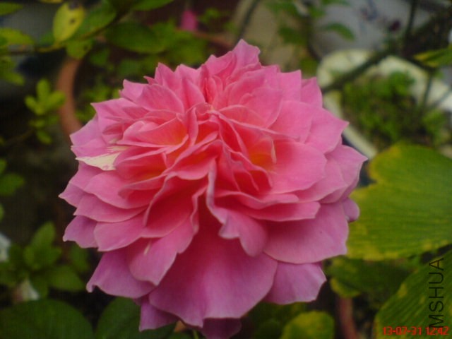 DSC00399.jpg