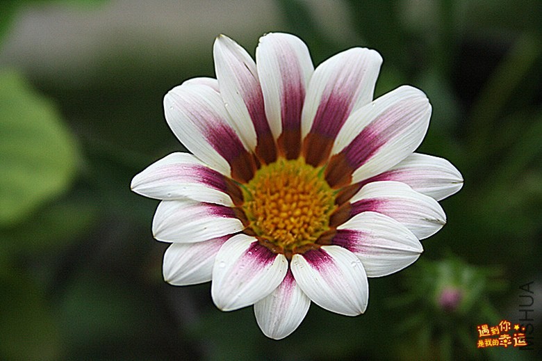 ��Ƭ 053_����.jpg