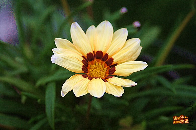 ��Ƭ 055_����.jpg