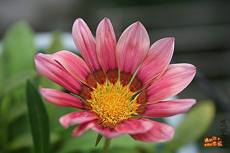 ��Ƭ 056_����.jpg