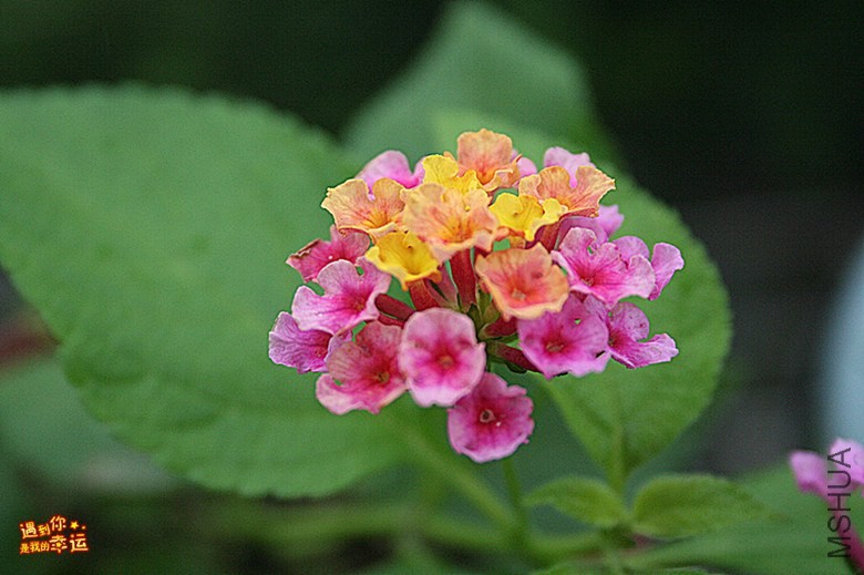 ��Ƭ 059_����.jpg