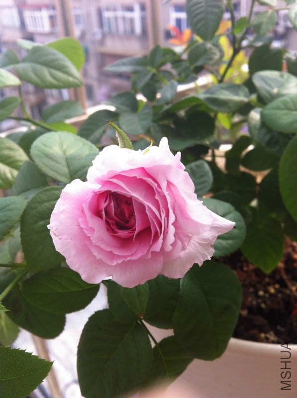 �쿪�����ӣ��������ڵģ��������˰�
