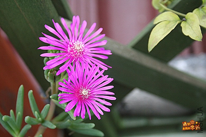 ��Ƭ 064_����.jpg