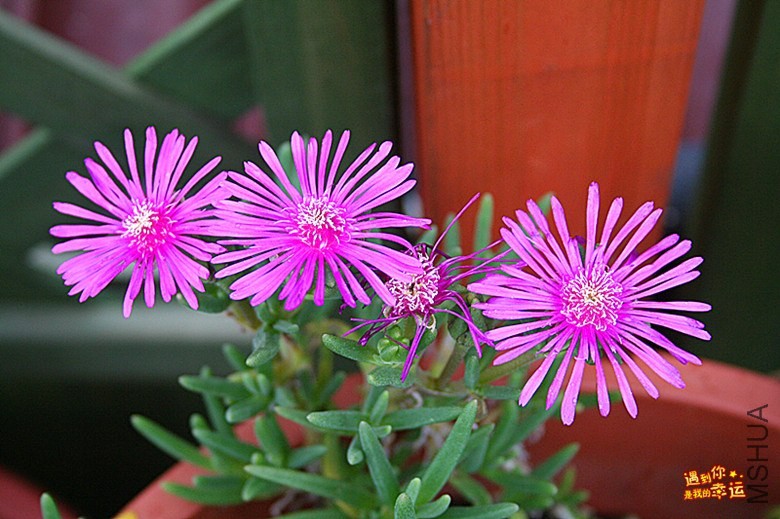 ��Ƭ 062_����.jpg