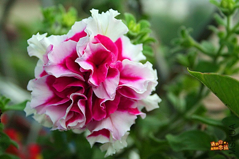 ��Ƭ 073_����.jpg