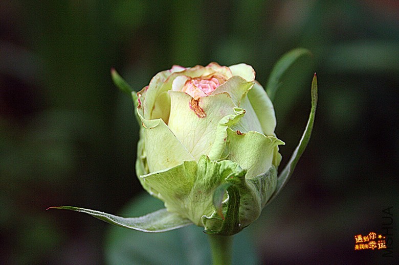 ��Ƭ 086_����.jpg