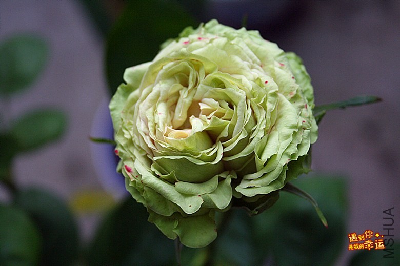 ��Ƭ 089_����.jpg