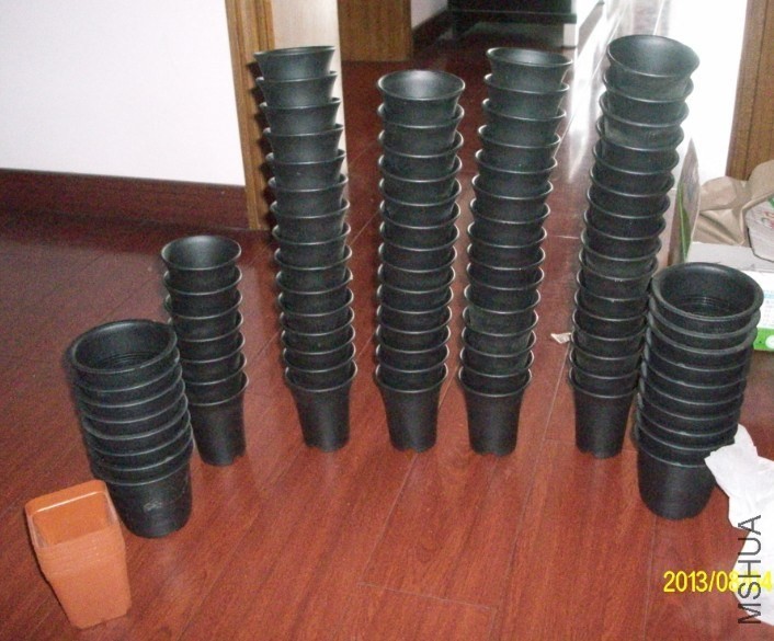 66.jpg