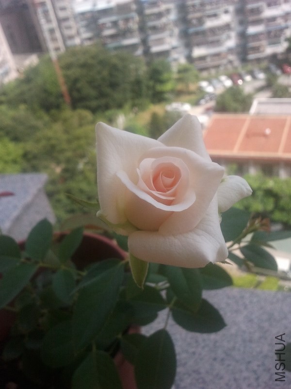 ����