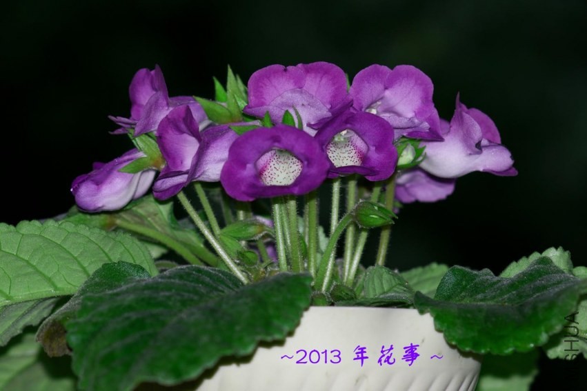 04.jpg