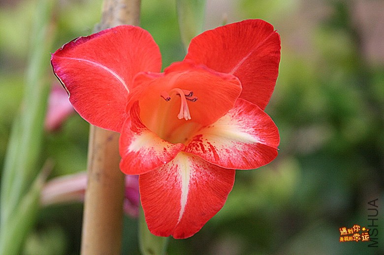 ��Ƭ 041_����.jpg