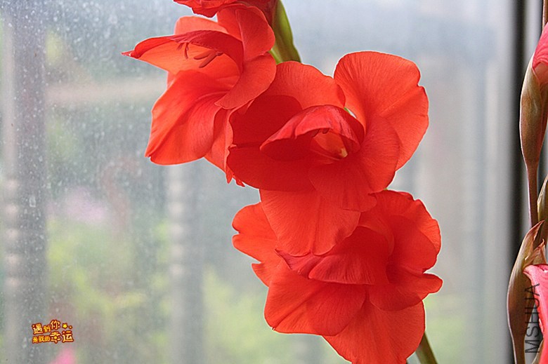 ��Ƭ 004b_����.jpg