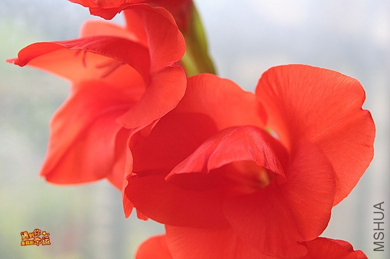 ��Ƭ 004c_����.jpg