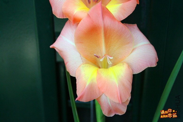 ��Ƭ 011_����.jpg