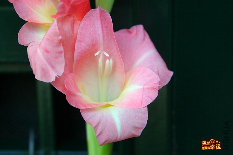 ��Ƭ 014_����.jpg