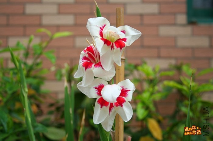 ��Ƭ 020_����.jpg