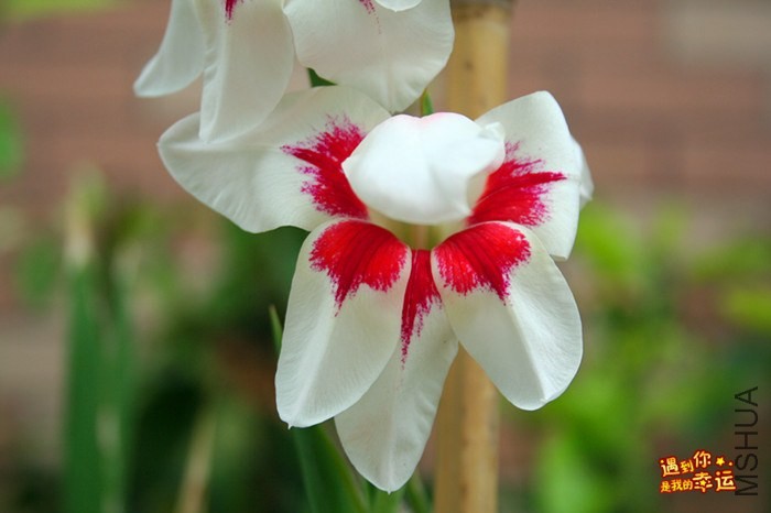 ��Ƭ 022_����.jpg