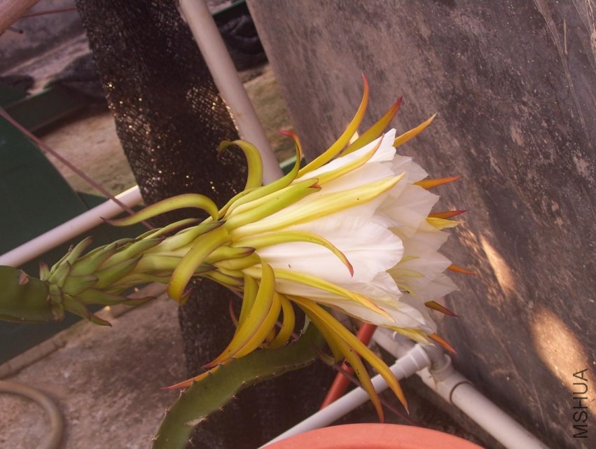 100_0607.JPG