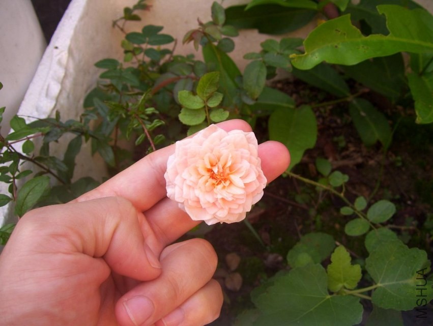 100_0604.JPG