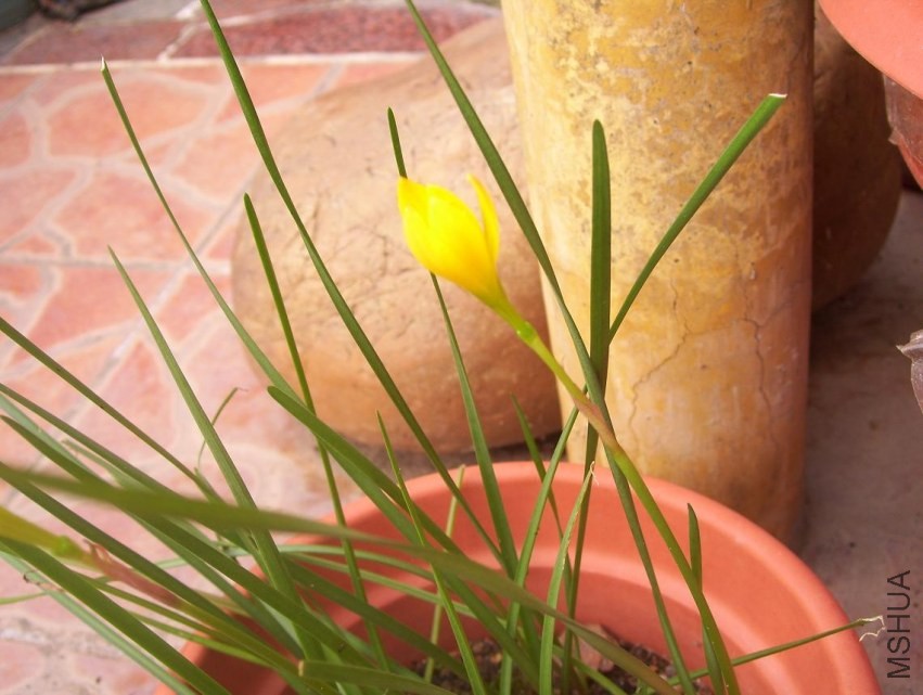 100_0592.JPG