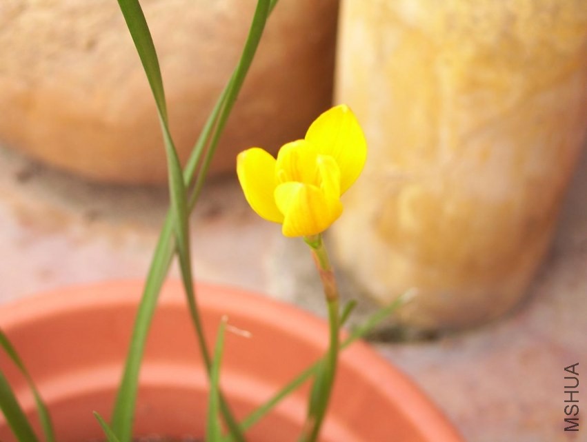 100_0593.JPG