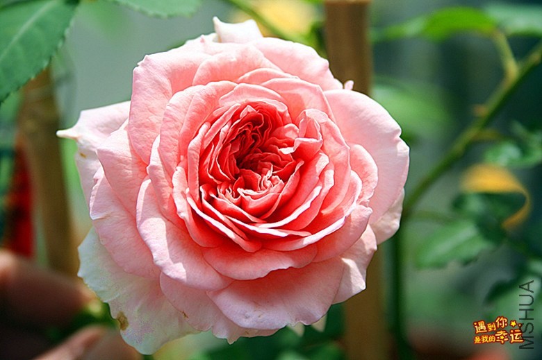 ��Ƭ 033_����.jpg