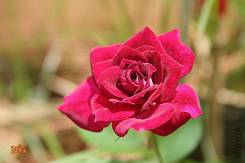 ��Ƭ 029_����.jpg