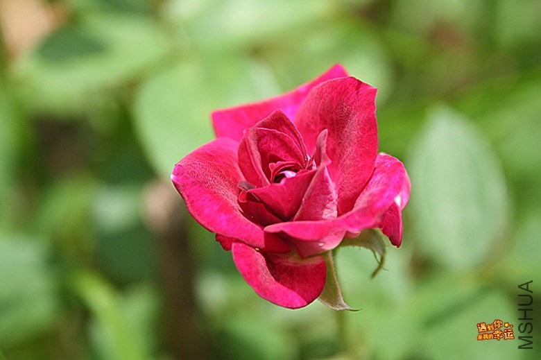 ��Ƭ 031_����.jpg