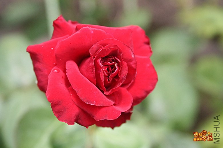 ��Ƭ 016_����.jpg