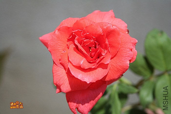 ��Ƭ 106_����.jpg