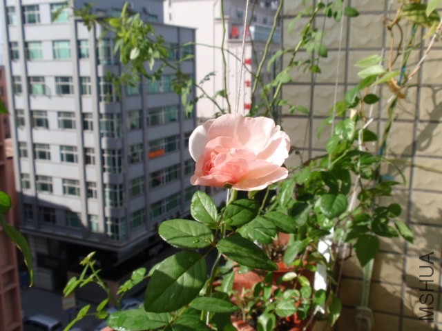 P1101123.JPG