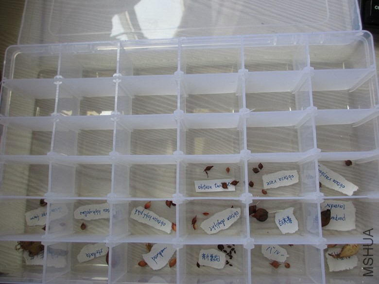 ��Ƭ 636_����.jpg