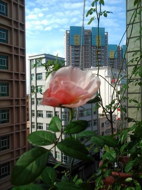 2013-08-07 08.27.37.jpg